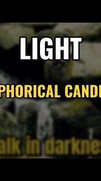 How to find light in your path? 📖 John 8:12