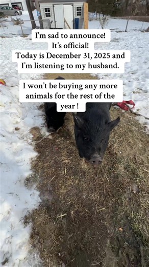 Husband and Wife Humor on Farm Life Decisions