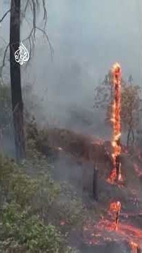 Wildfires Sweep Through Over 4,000 Acres in California