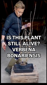 276K views · 2.9K reactions | If between late Autumn and Spring you...