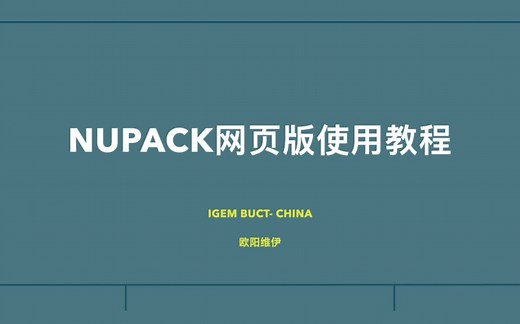 【科研教程】NUPACK网页版使用教程