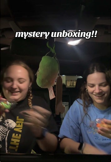#mysterybox #mysterytok #unboxing #haul #lps @Emily