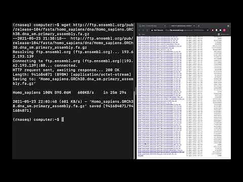 RNAseq tutorial - part 1 - building STAR genome index