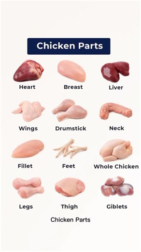 English Vocabulary #EnglishUSA #AmericanEnglish #BritishEnglish #LearnEnglishOnline #ESL