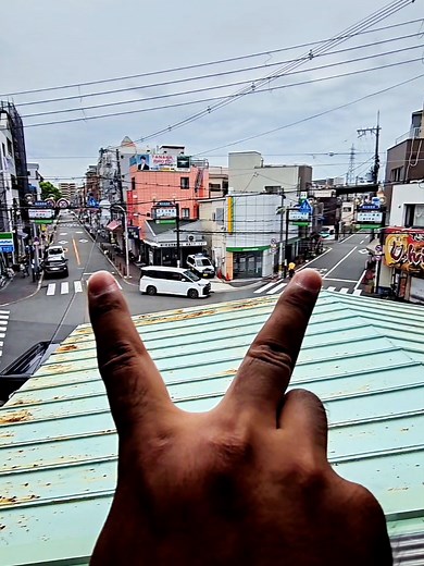 Exploring Japan's Advanced Train System