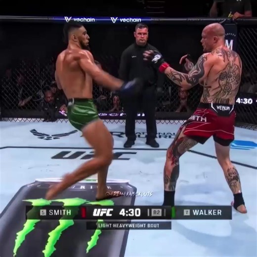 Johnny Walker vs Anthony Smith highlights