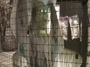 Animated Toxic Zombie Prop Video