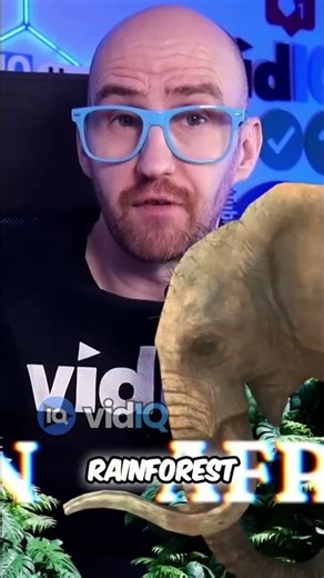 🛰️ Your "Dream Audience" is Scrolling Right Past You—Here’s the Fix