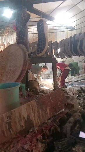 21 reactions | 量 #boot #color | Kumar Darshan Hari | Facebook