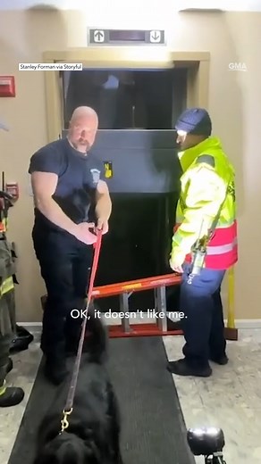 Firefighters rescue six people and two dogs from a broken elevator in an apartment building. https://abcnews.link/z2jjfYQ | Good Morning America