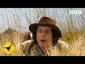 Learn about Cavemen | Andy's Prehistoric Adventures | Andy's Amazing Adventures