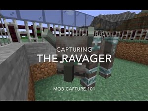 Mob Capture 101: How To Catch The Ravager