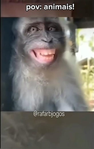 se vc rir comente "rs" ou "XD" 🥲🤙#povs #gatos #humor #ingraçado