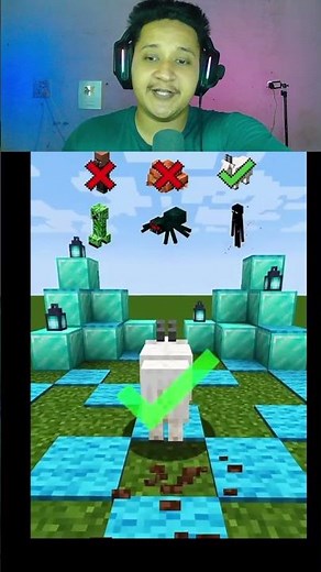 mob wall test #minecraft #hamplu #reaction