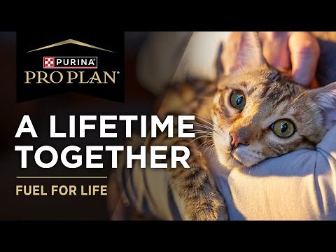 Purina Pro Plan Fuel For Life - Cat
