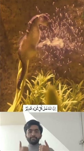 Allah hu Akbr ❣️☝🏻