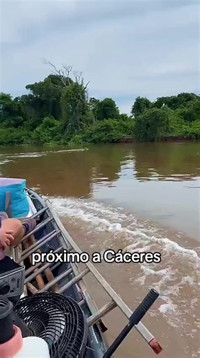 #curiosidades #pescador #onça#camping