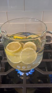 I’m trying out my new glass simmer pot from Amazon. I want a fresh clean smell today so I added lemon slices, rosemary sprigs and mint extract drops. I’ll let you know what I think. You can find the pot on my Amazon store front here ➡️ https://www.amazon.com/shop/theshabbytree/list/3L9L450O3MCV2?ref_=aipsflist_aipsftheshabbytree | The Shabby Tree