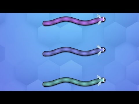 Snake Live Game 🔴👍👍👍👍👍👍👍