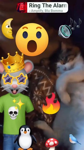 Gram Cracker on Reels