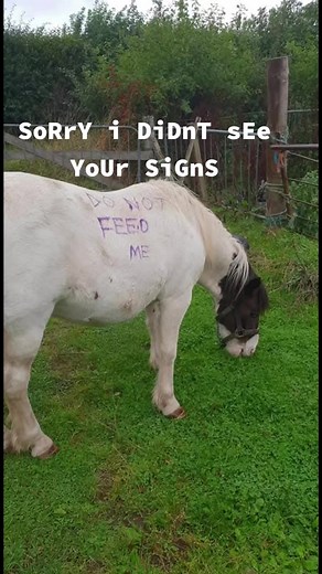 Stop Feeding Other People’s Horses: Why It Matters