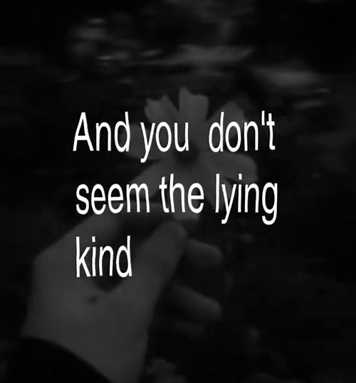 Duvet > #mytypemusic #song #lyrics #trending #viral
