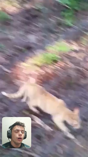 24K views · 432 reactions | Shock WIN!! ⚡#electricfence #funnyanimals #funnyvideos | Eletric FENCE | Facebook