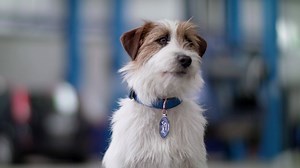 Poor braking performance? Better get your tyres checked. | Ford