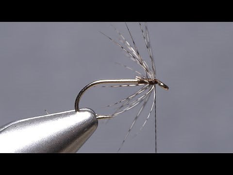 Hungarian Partridge Soft Hackle