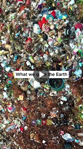 Shifting to a Circular Economy: Reducing Plastic Waste | Circularity Hub posted on the topic | LinkedIn