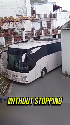 Professional Bus Driver