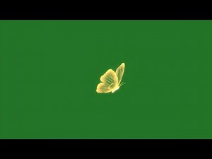 Golden butterfly flying green screen video | Realistic butterfly animation on green screen