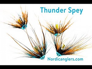 Fly Tying instruction on how to tie the Thunder Spey Variant