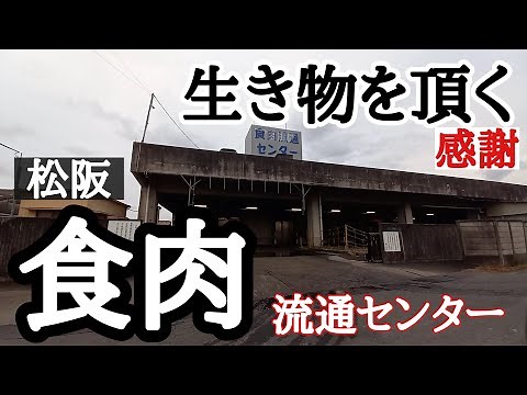 松阪食肉流通センター 生き物の命を頂く 三重県松阪市