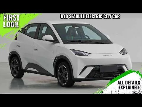 BYD Seagull EV City Car Revealed Ahead Of Launch - First Look | Full Exterior