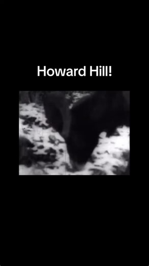 Stoney Wolf Outdoors on Instagram: "Archery legend Howard Hill!"