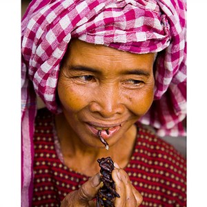 How Eating Fried Tarantulas Saved Lives in Cambodia
