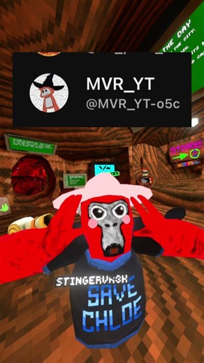 Adopting My Subscribers Part 5! #gorillatag #gorillatagquest #vr #gtag #wigitachi #sehar #firtana