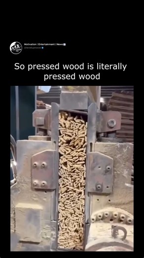 LevelUpNoow🔥 | Self-Growth on Instagram: "The X post shares a 37-second video of particleboard production, showing wood chips being fed into a hydraulic press to form dense sheets, emphasizing the straightforward "pressed wood" name with a humorous caption. Particleboard manufacturing recycles wood waste mixed with resin, then compresses it at high temperatures and pressures up to 50 atmospheres, producing over 56 million cubic meters globally in 2024 for affordable furniture and construction. 