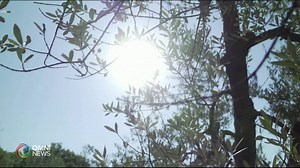 1.5M views · 37K reactions | Kinakain nang dagat ang ilang bahagi ng bansa ng Fiji dahil sa climate change. Habang halos apat na pu na man ang patay sa Amerika dahil sa matinding pagbaha. May report si Ron Gagalac. | OMNI Filipino | Facebook