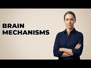 Why Do Bipolar Medications Target Brain Chemistry?