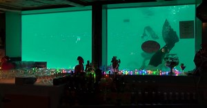 Sip ’N Dip Lounge scores national attention once again