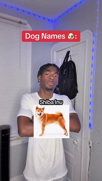 Dogs names vs cats name 😂