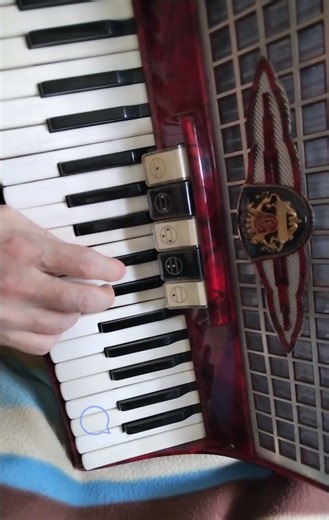 Never meant to belong Shiro Sagisu #accordion
