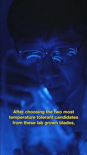 Can Seaweed Adapt to Warming Waters?