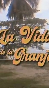 1.1K views · 35 reactions | The Punta Mona family is loving this...