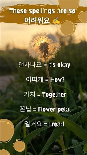 #한국어공부 #세종학당 #한국어배우기 #KoreanStudy # #KoreanLanguage #KoreanLearner #LanguageLearning #Hangul
