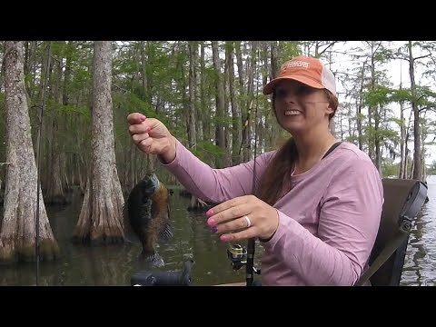 Bream Fishing!!! ( Tips & Gear )
