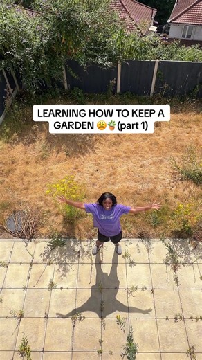 Learning How to Keep a Garden for Beginners (Part 1)