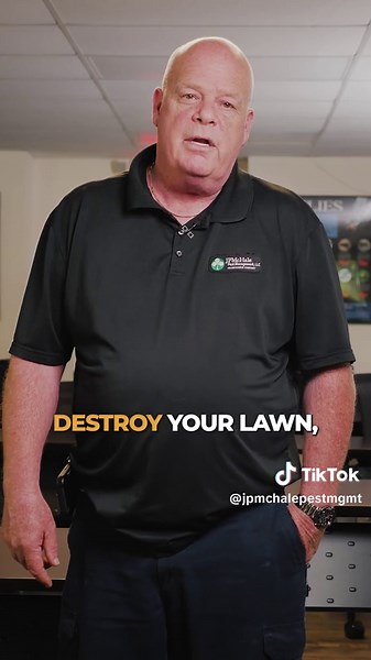 Identifying Grubs in Your Lawn: Key Signs to Watch